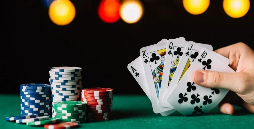 Asino casino poker